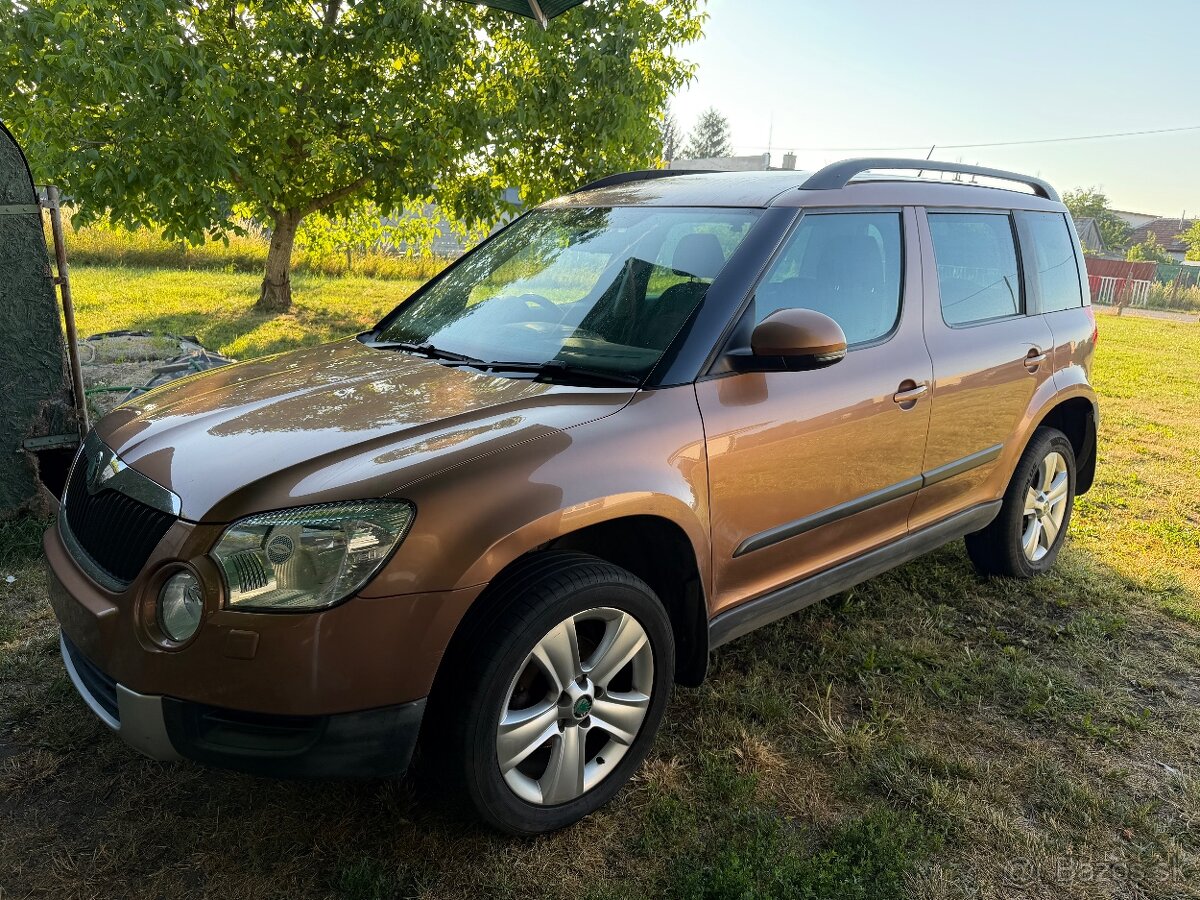 Skoda yeti - 2