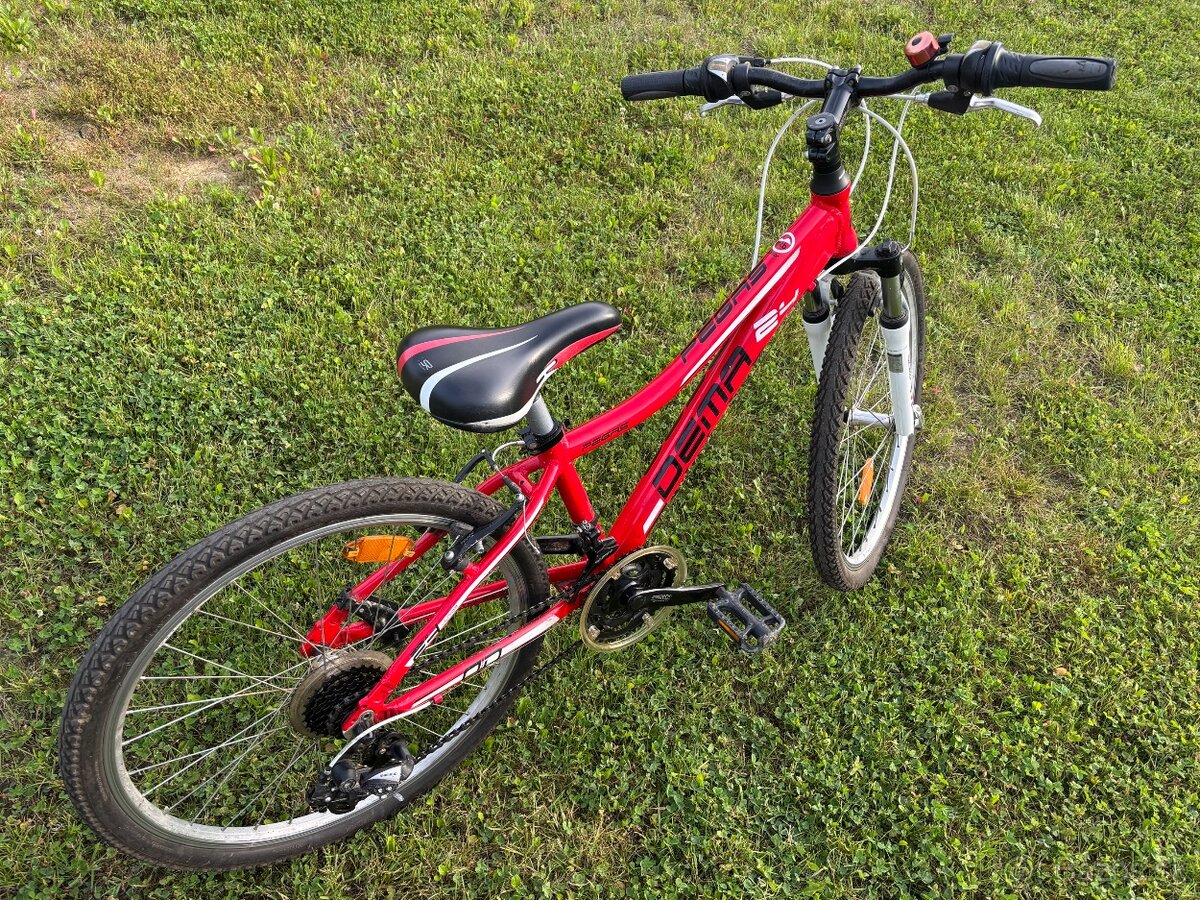 Bicykel DEMA Pegas 24 - 2