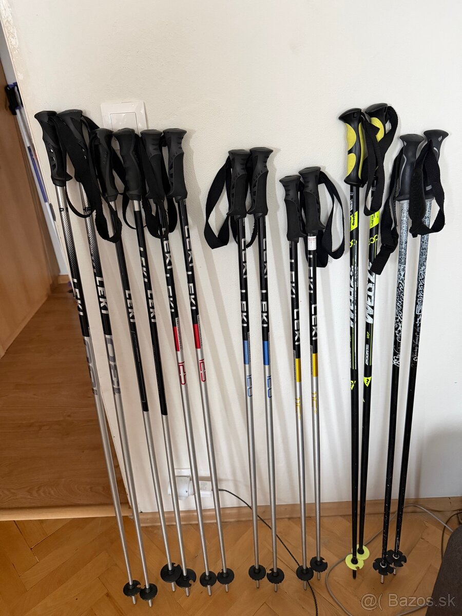 Lyziarske palice - 2