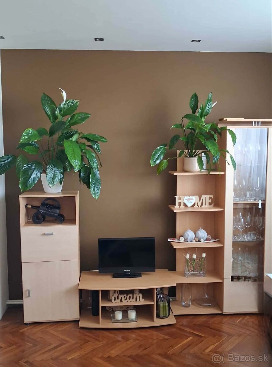 Obývacia stena / obývačková zostava - 2