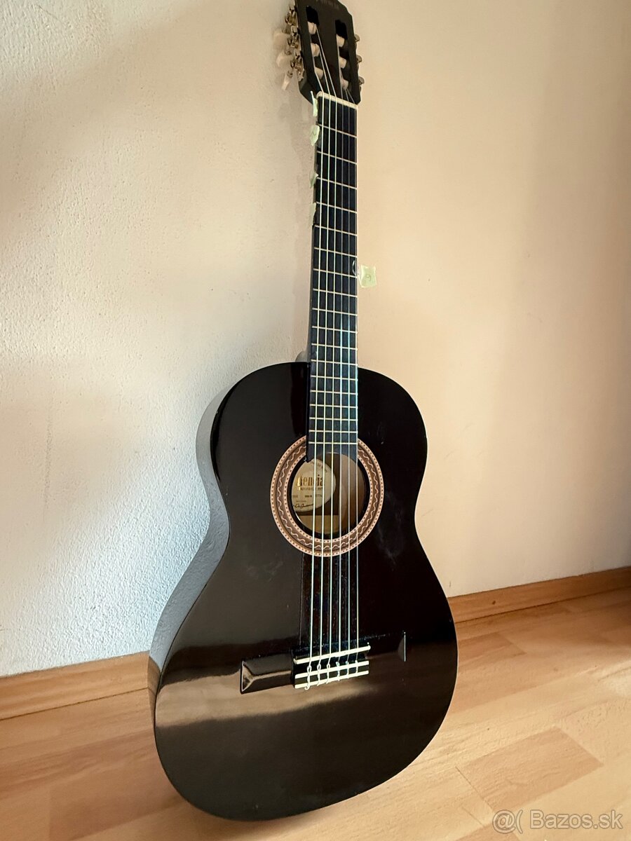 Predávam gitaru - 2