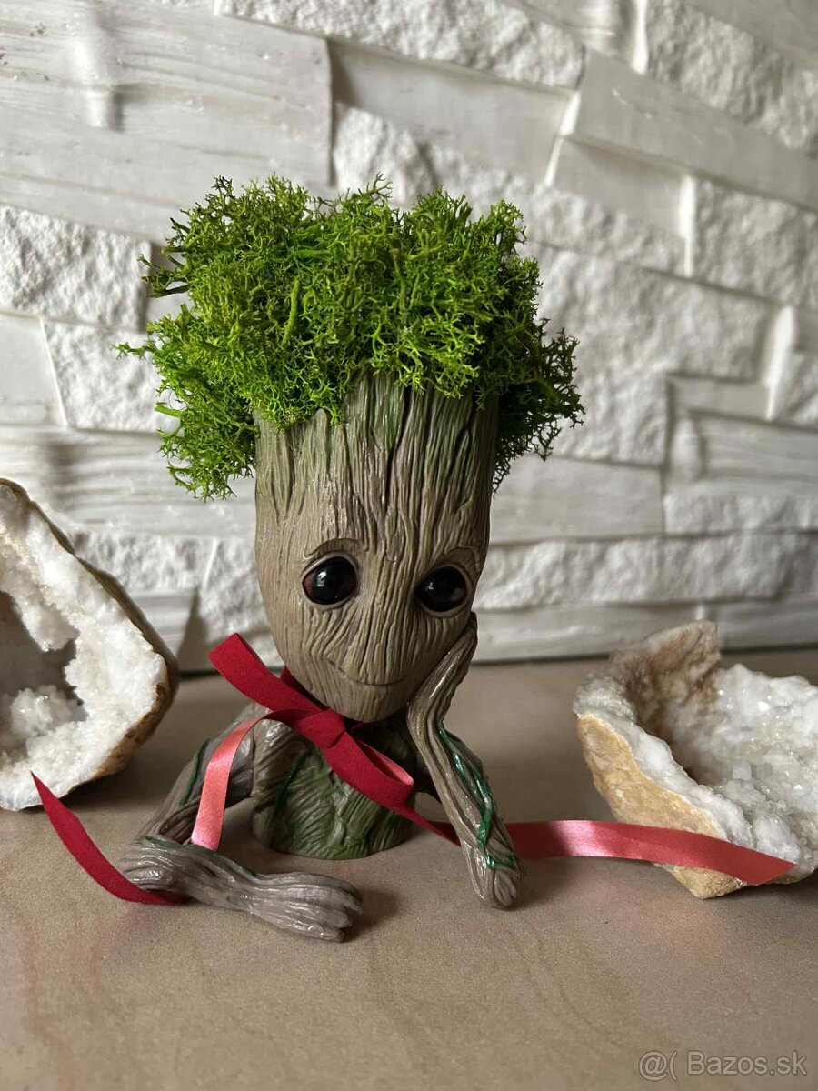 Groot so stabilizovaným machom - 2