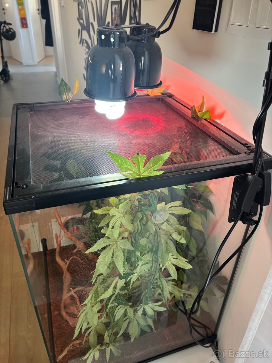 Terárium Repri Planet - 2