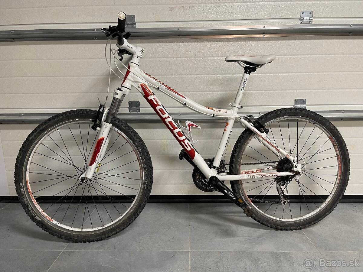 FOCUS Donna damsky - 2