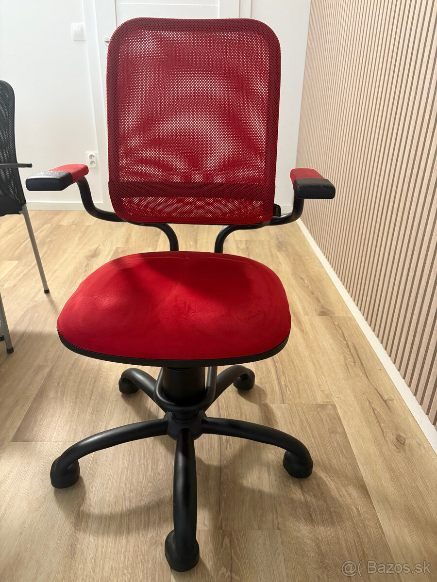 Stolicka Spinalis - 2