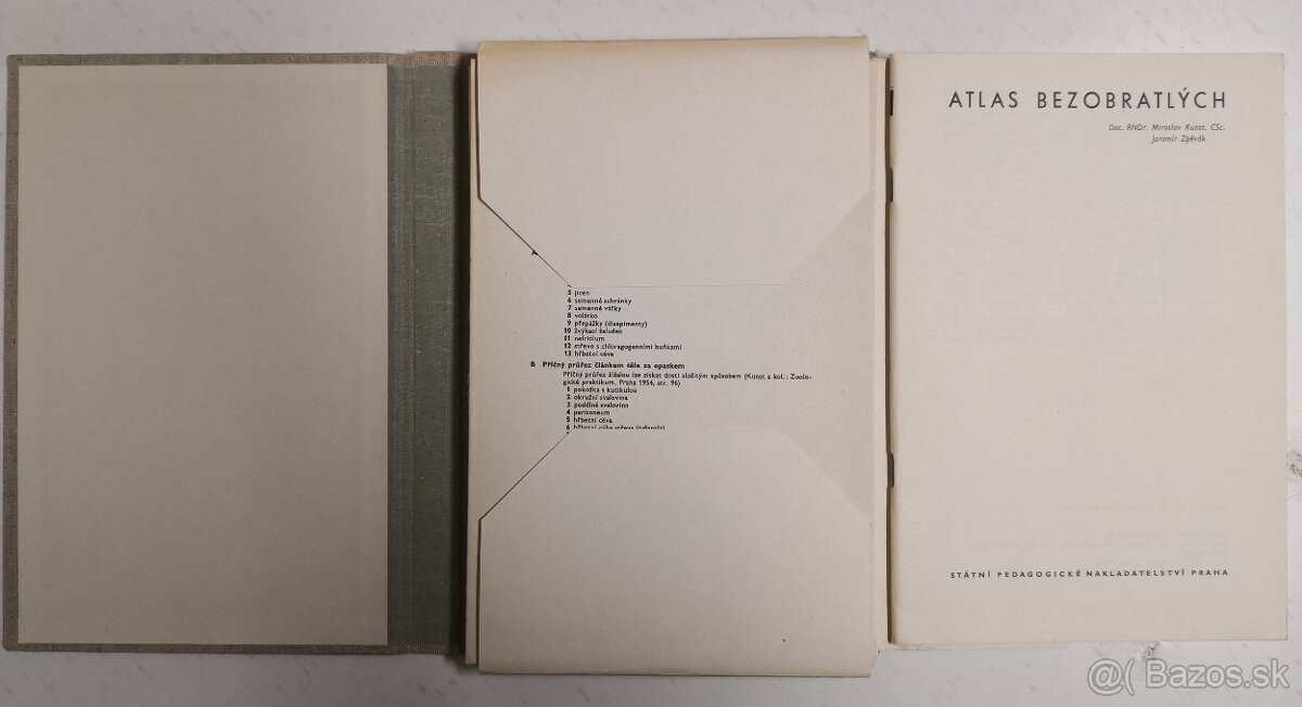 Atlas bezobratlých - 2