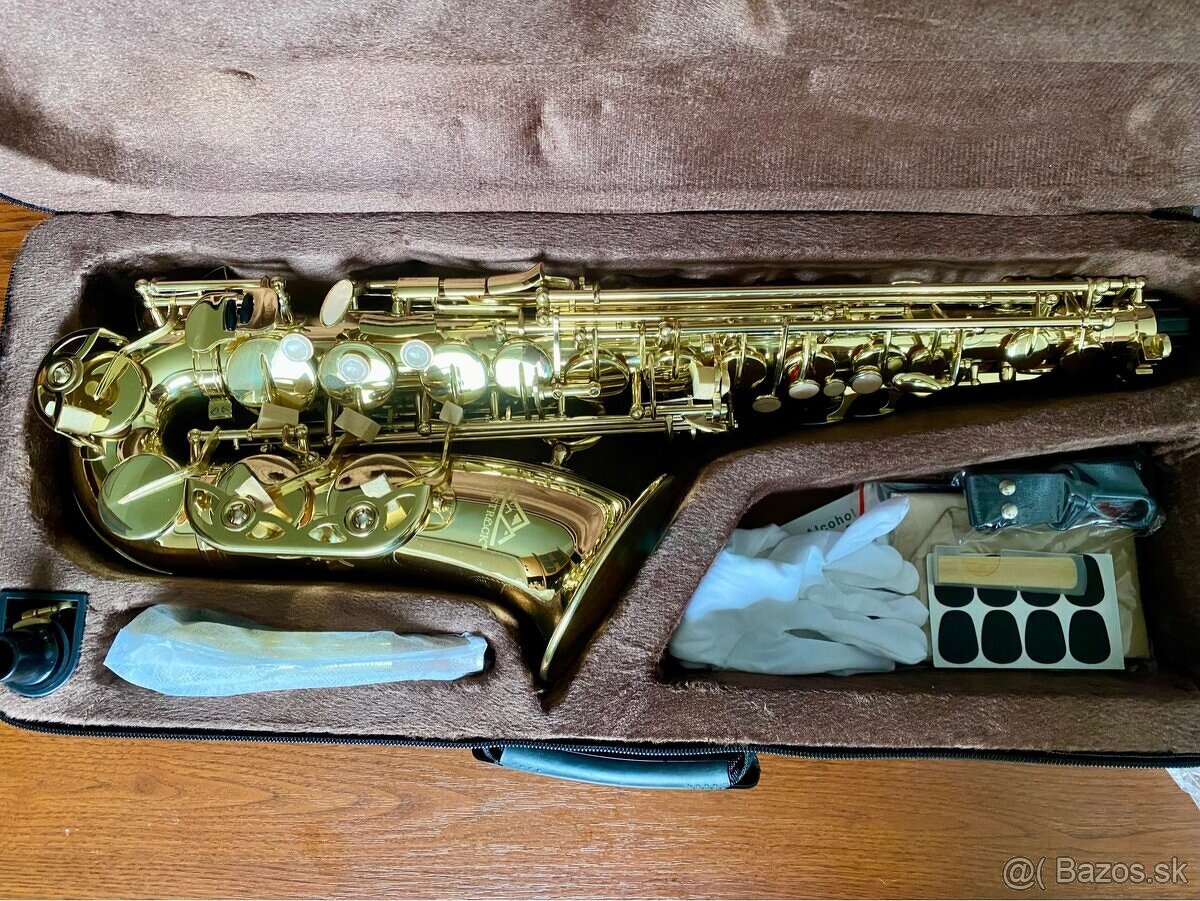 Nový EASTROCK alt saxofón + hardcase - 2