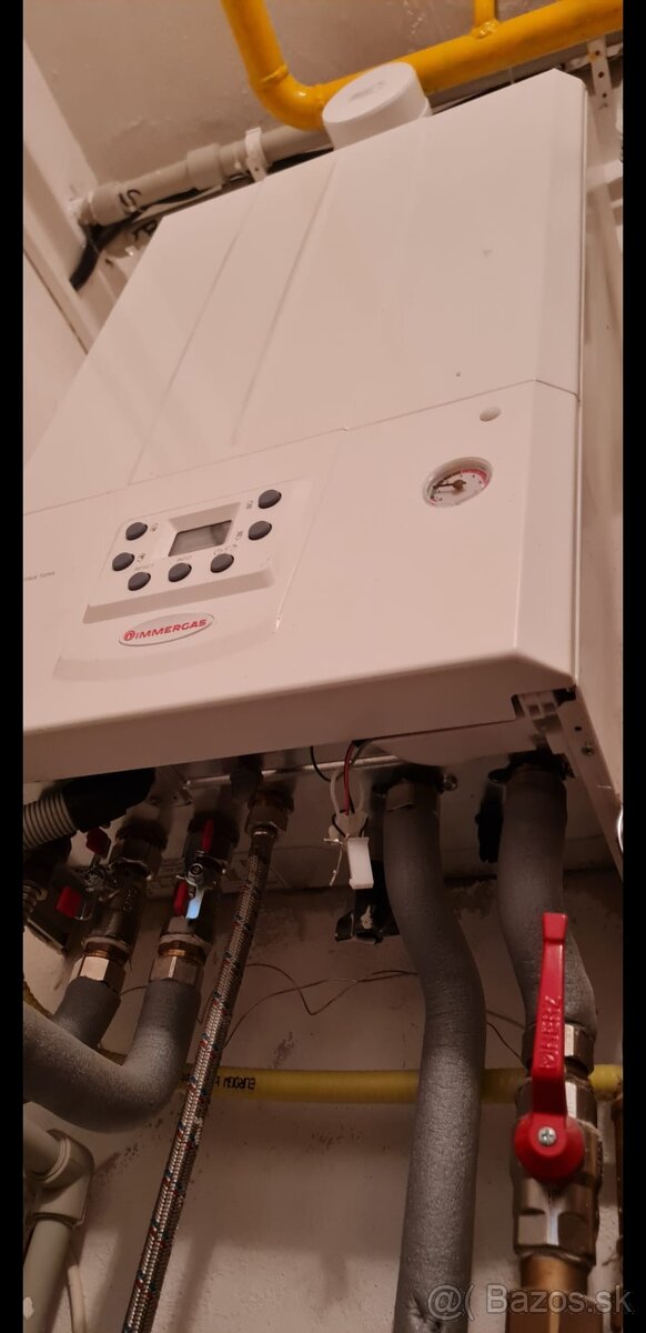 Immergas Victrix Tera 24 Plus - 2