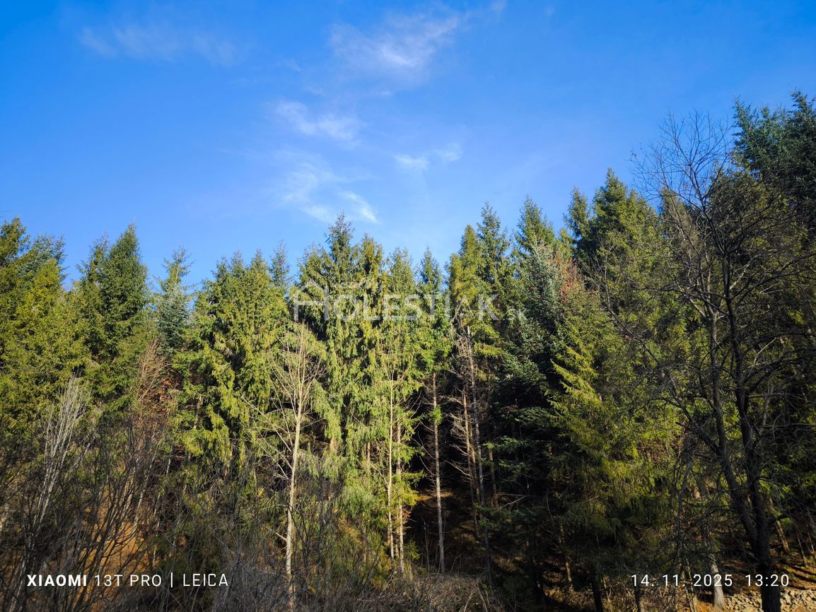 Predám pekný pozemok na chatu, Kysuce, iba u nás - 2