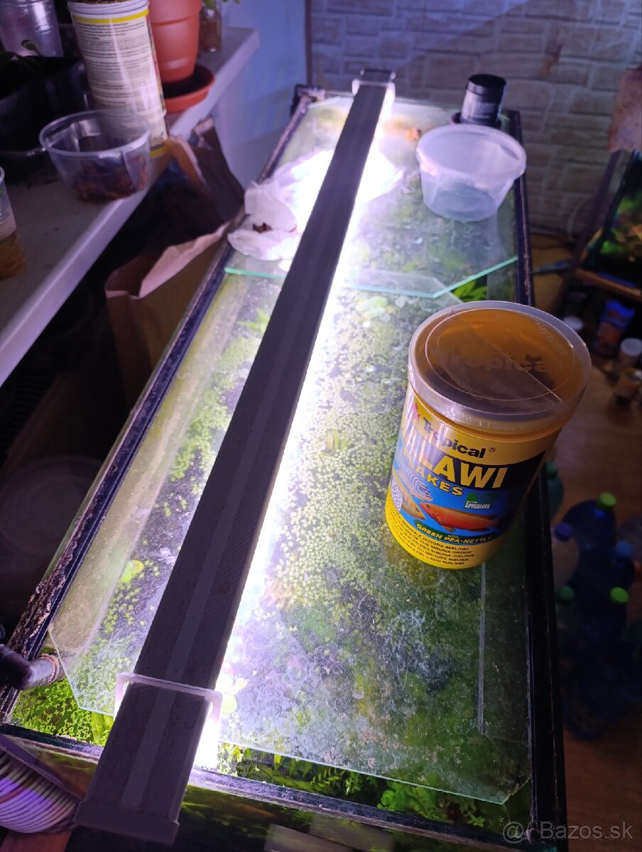 Akvárium + svetlo - 2