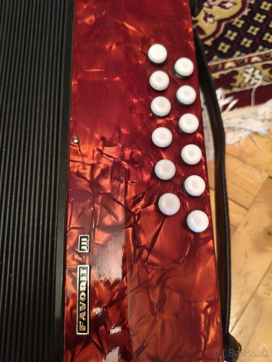 Harmonika Delicia favorit III - 2