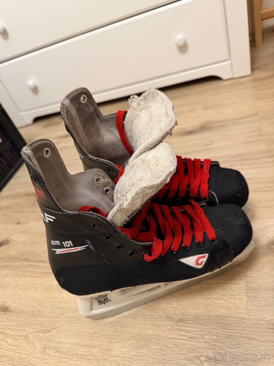 Korčule GRAF Elite 101 - 2