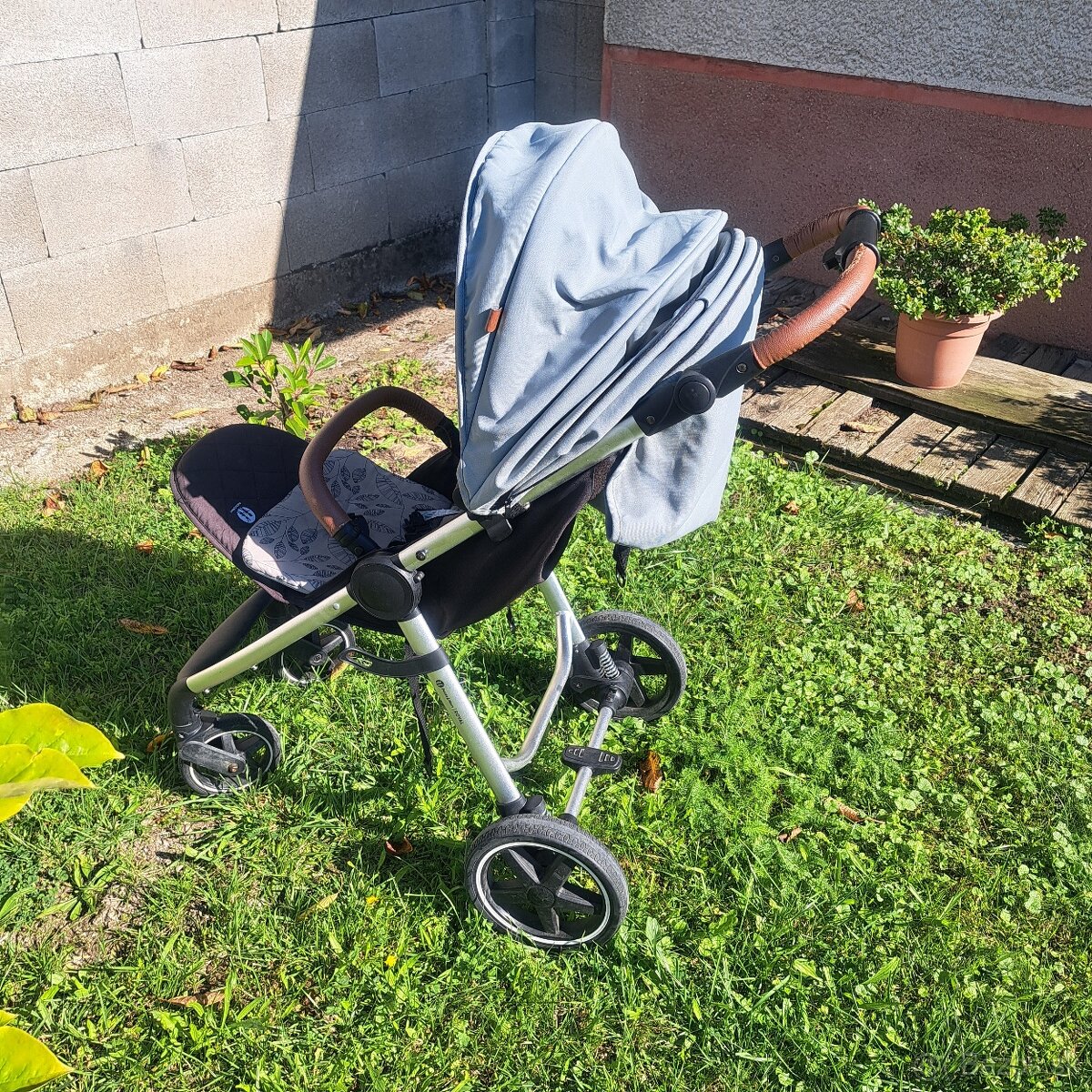 Sportový kociar. - 2