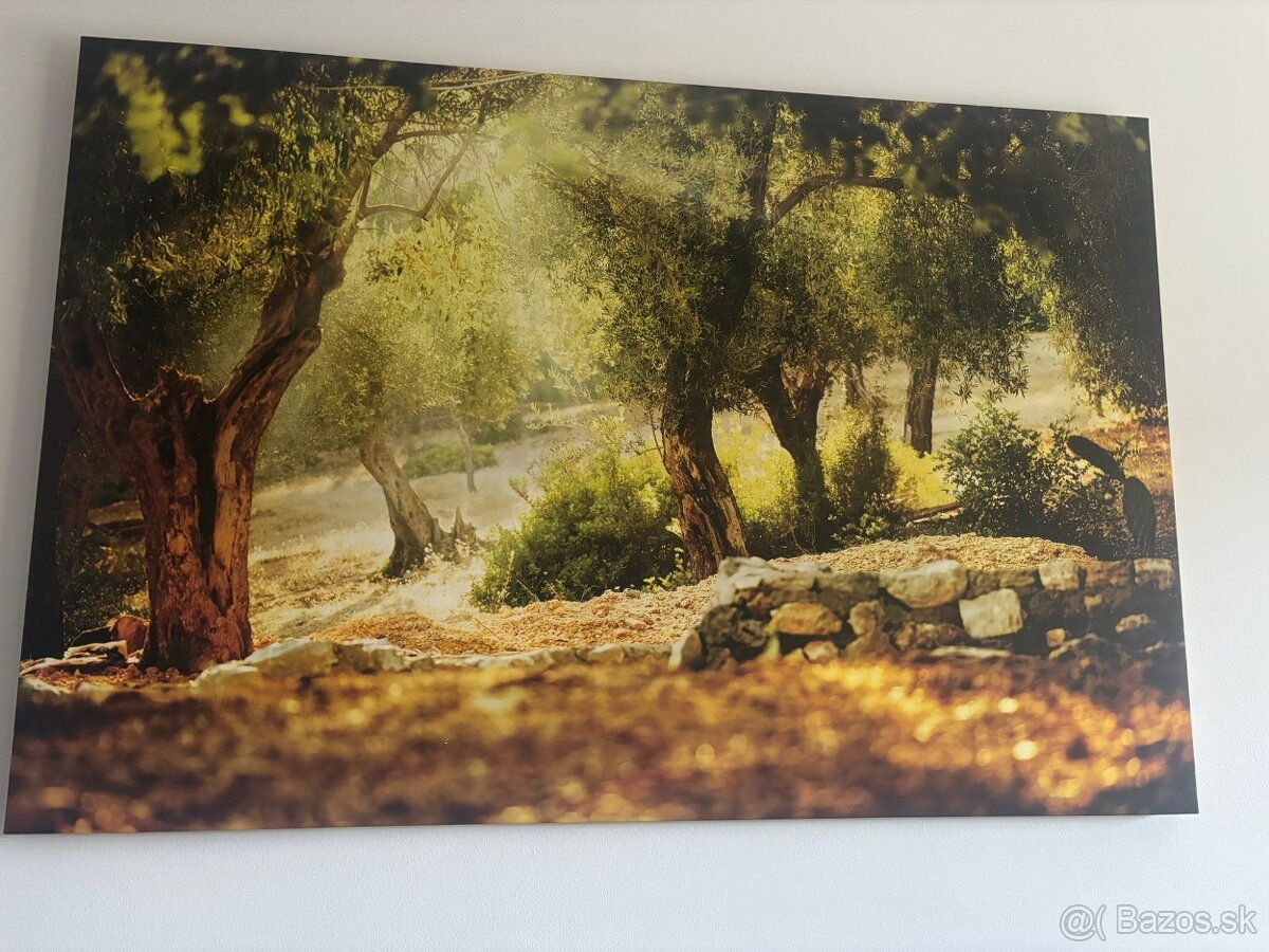 Pekný a veľký obraz - 2