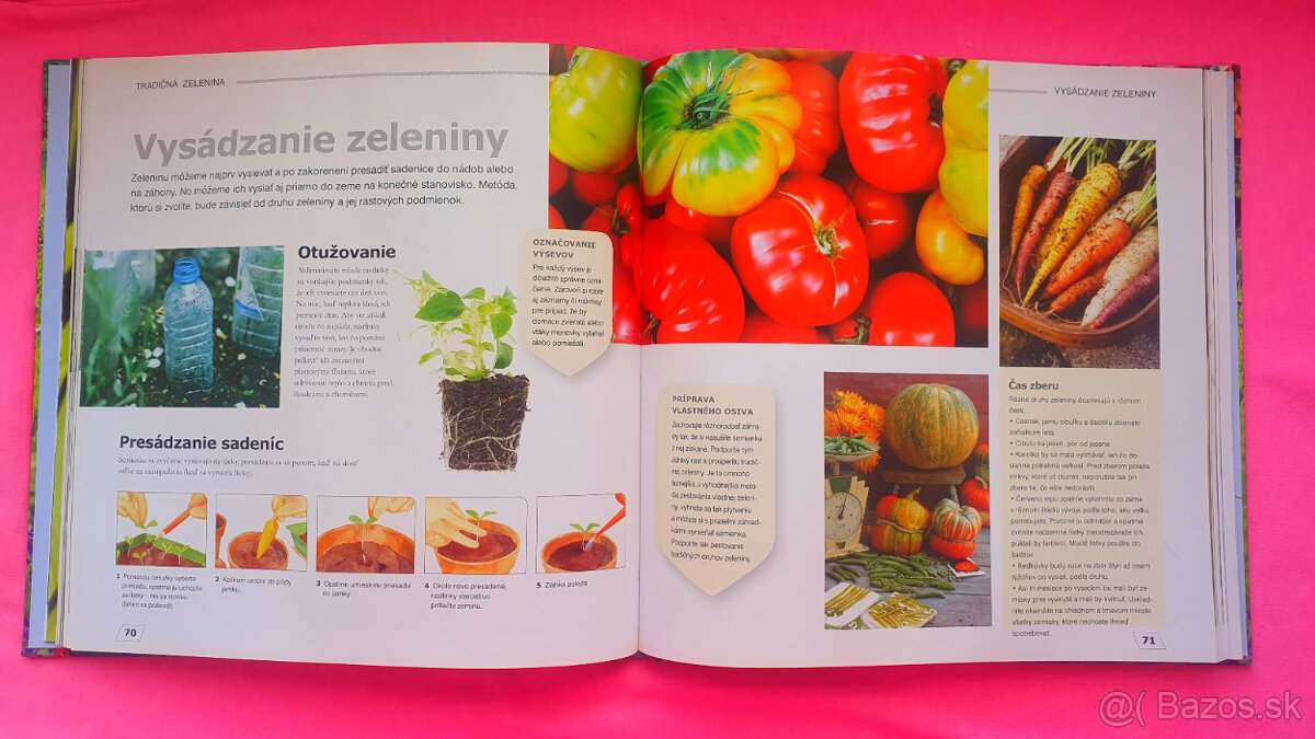 Labužníkova záhrada. - 2