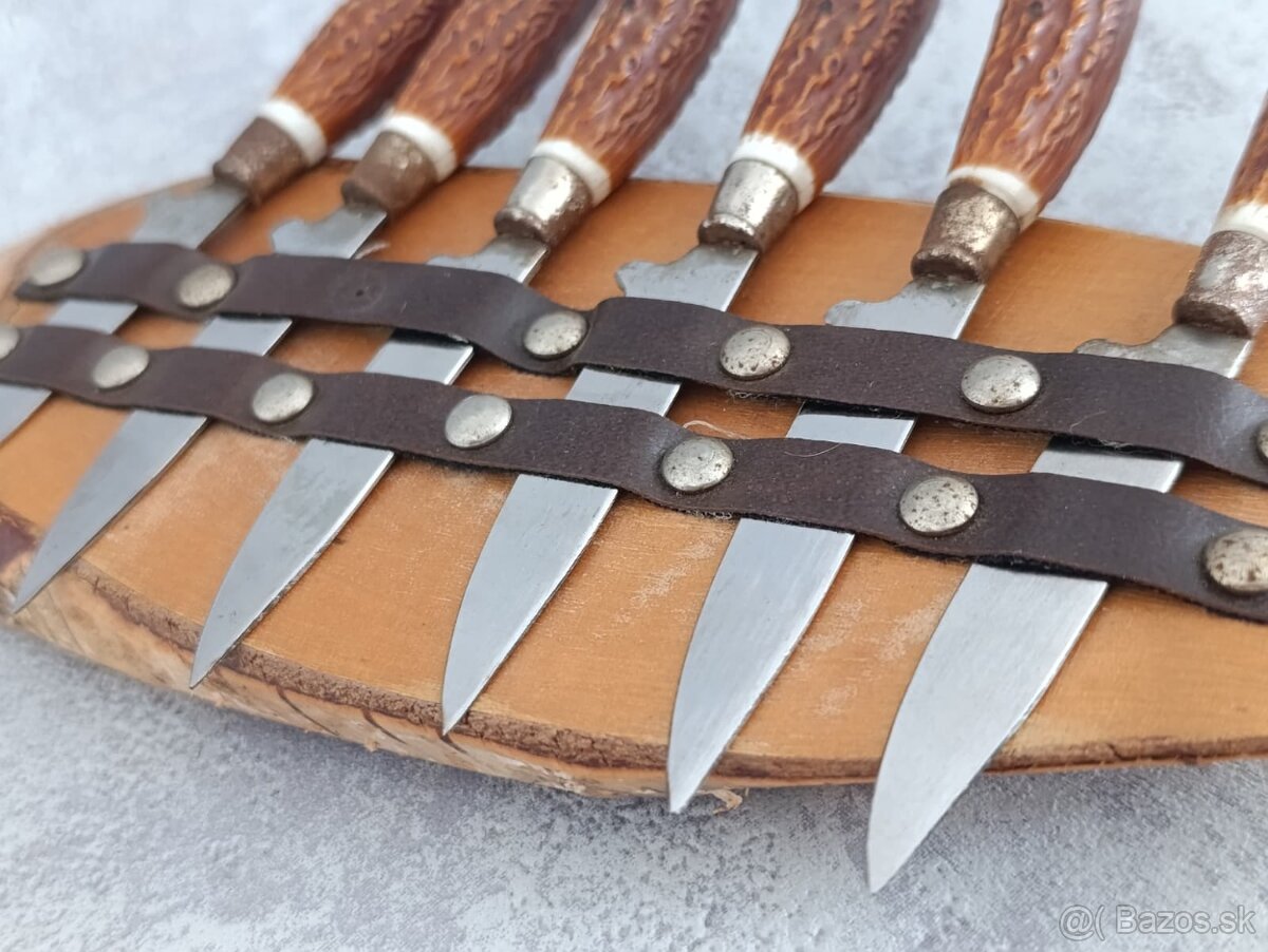 6 x malé nožíky v řadě na dřevéné podložce z břízy. - 2