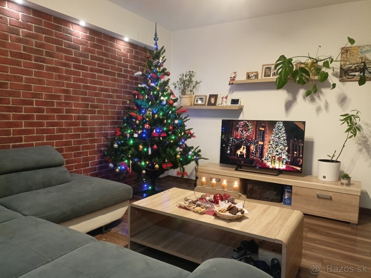 Predam 2- izbovy byt v Belusi - 2