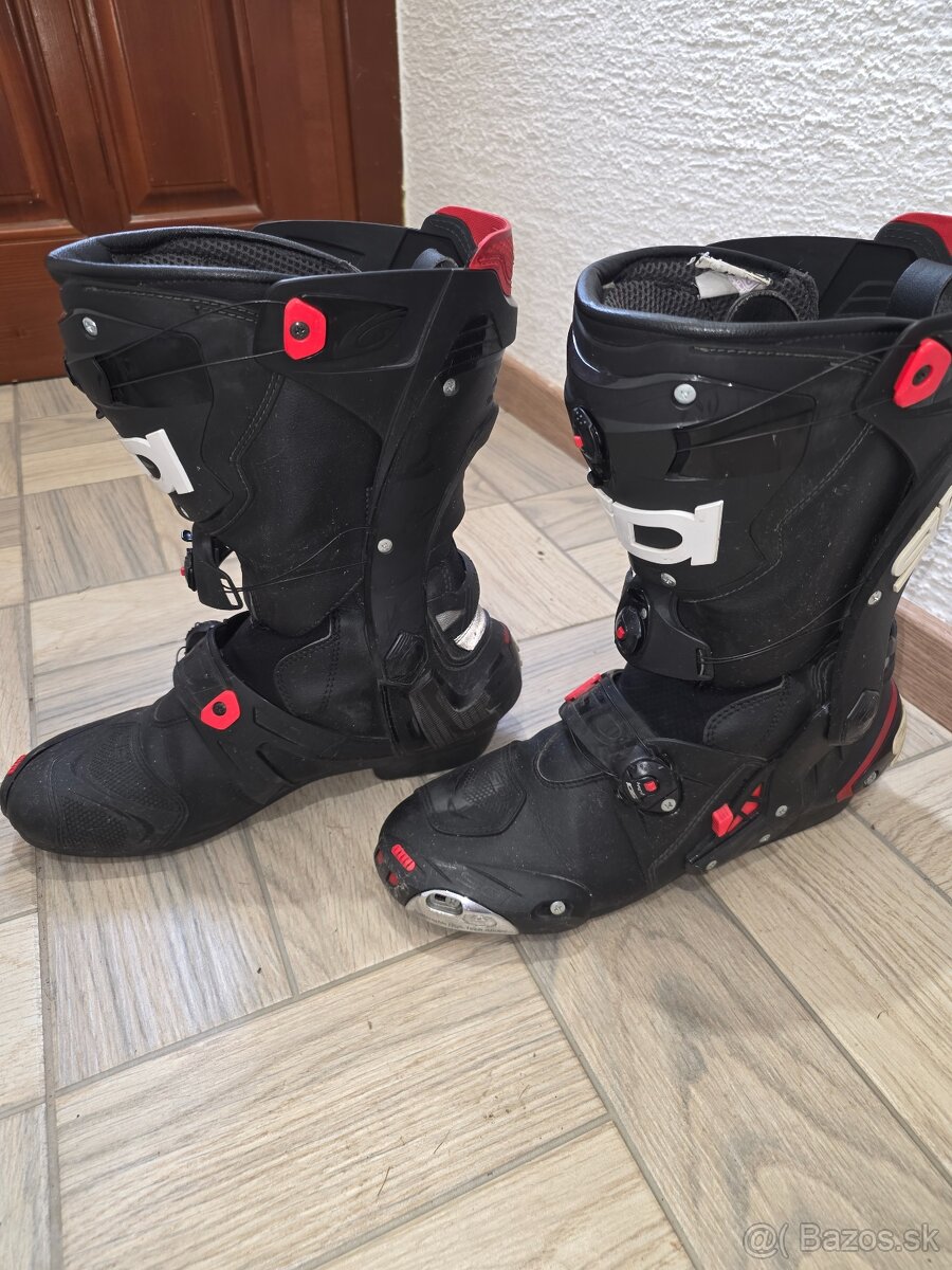 Sidi Rex - 2