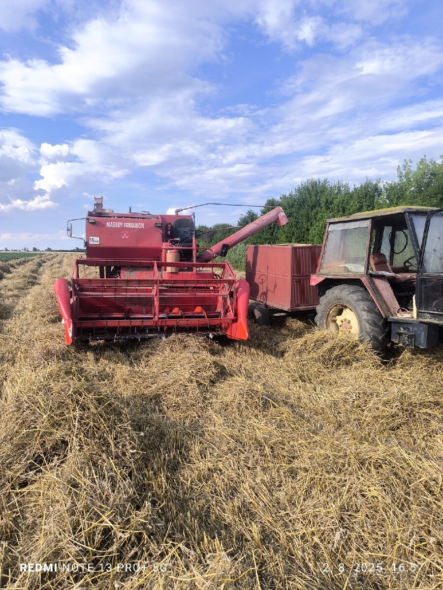 Predam massey ferguson 685s - 2
