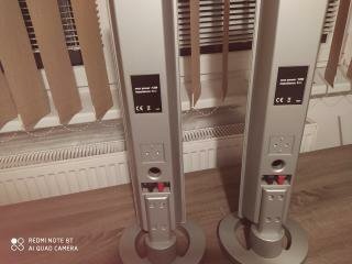 REPRAKI DOMACE KINA - 2