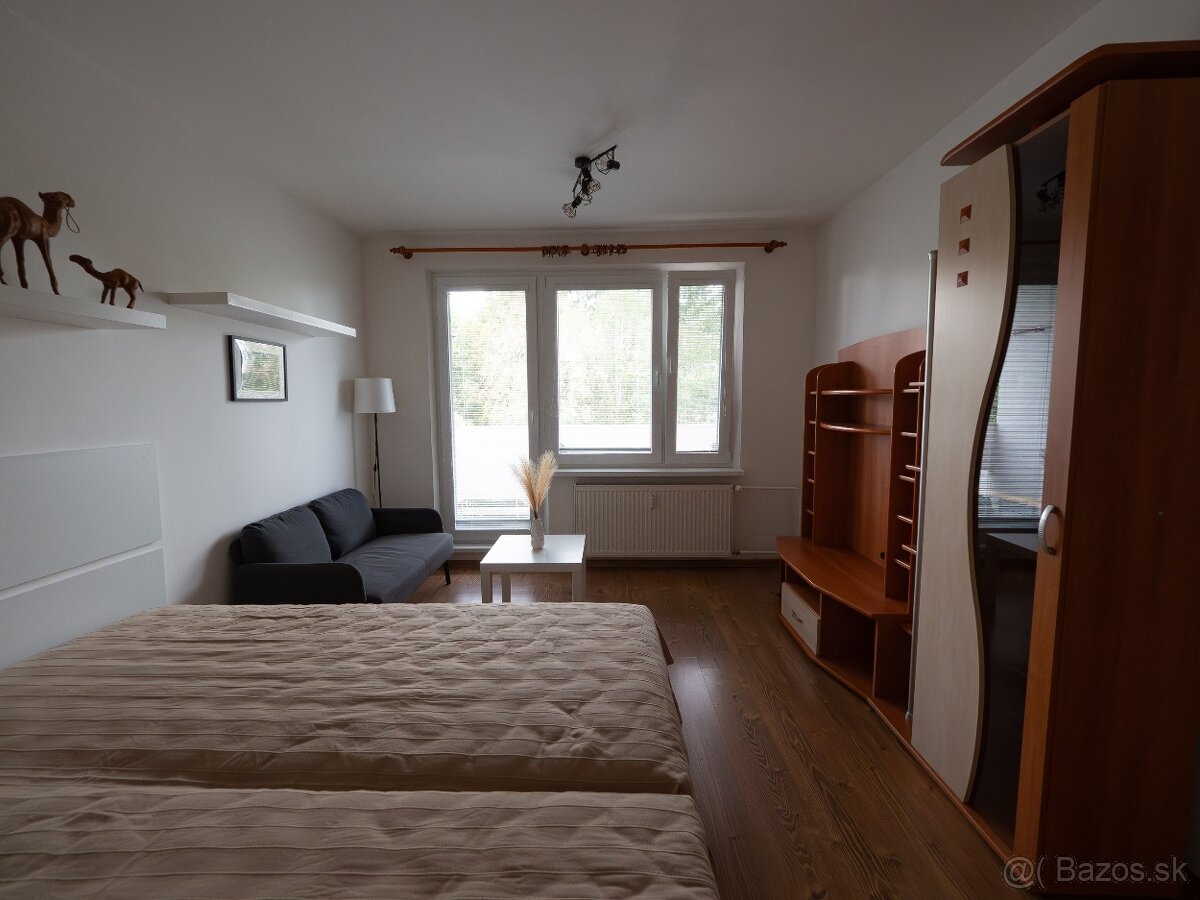 1 izbový byt na Vlčincoch - 2