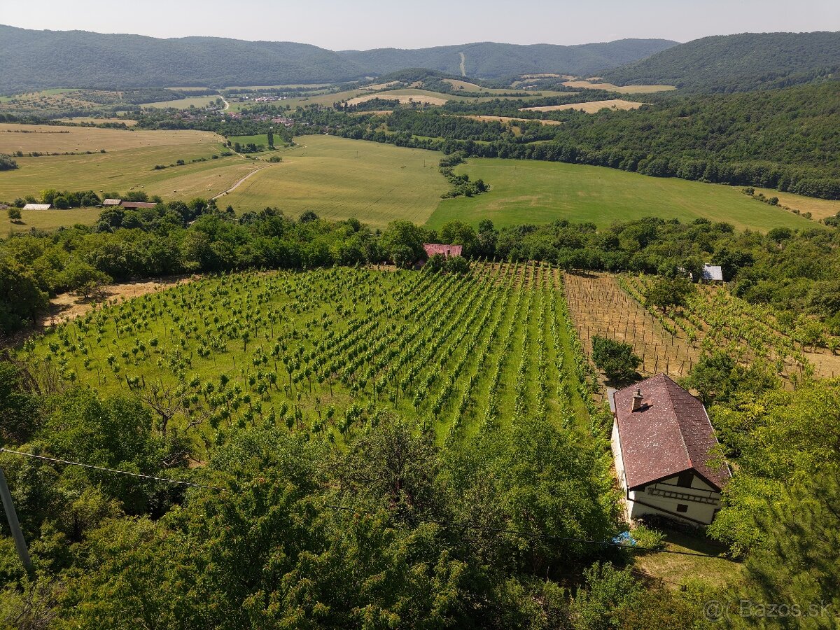 Rozsiahly pozemok s chatou v obci Hrušov - 2
