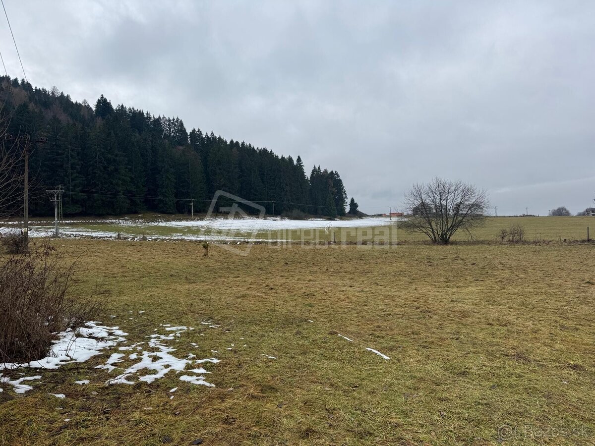 Predaj - orná pôda - Pozemok na predaj… - 2