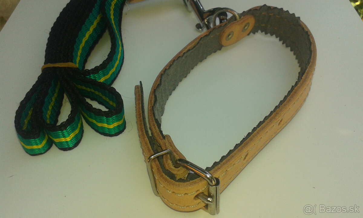 obojok a vodítko - 2