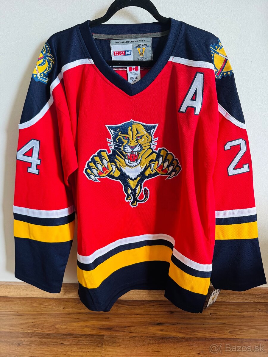 Robert Švehla 24 “A” Florida Panthers - 2