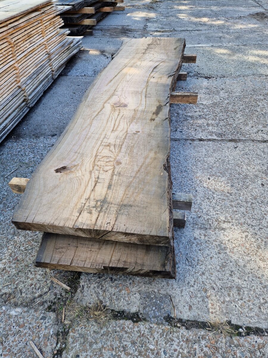 Dub bahenny, mooreiche, dub subfosilny - 2