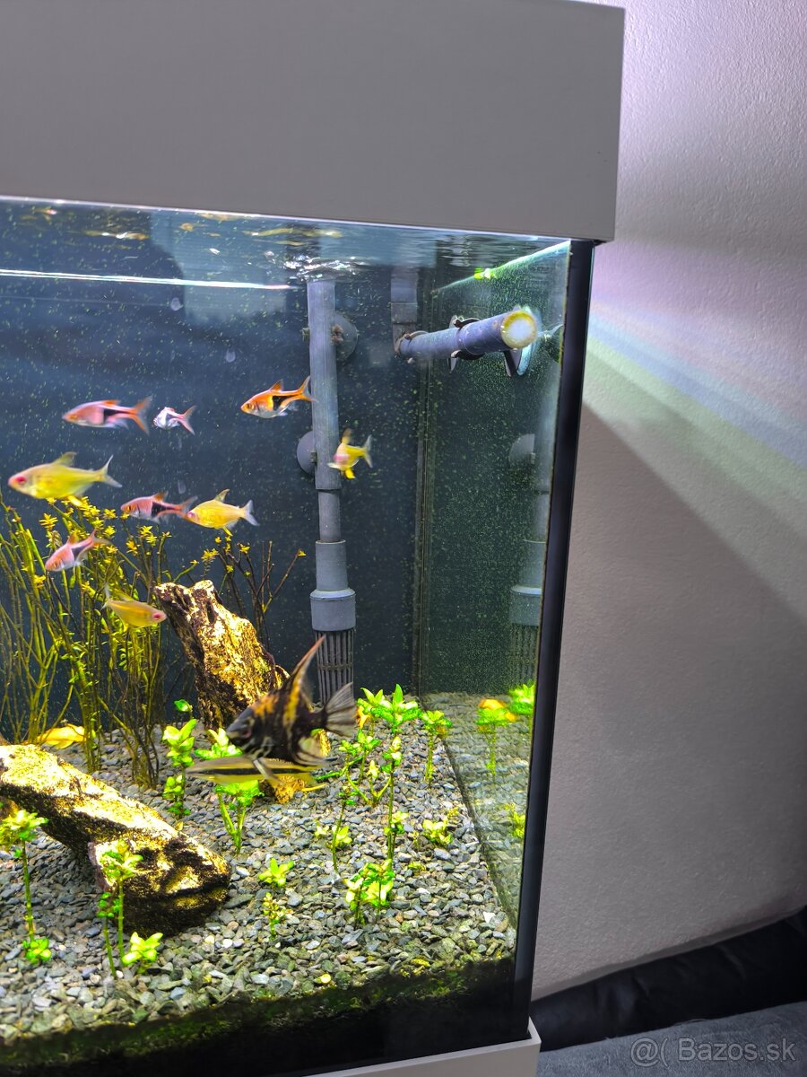 Akvarium - 2