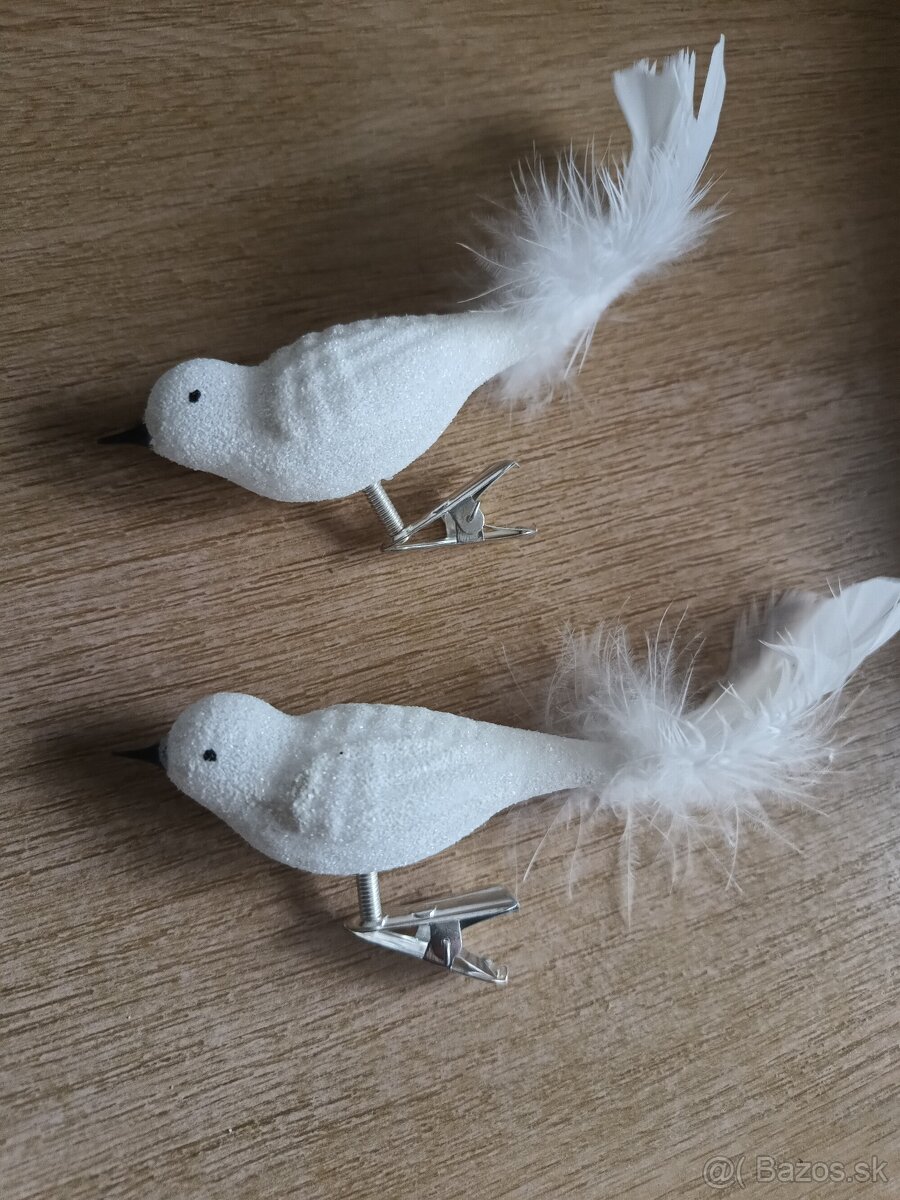 Sklenené vtaciky - 2