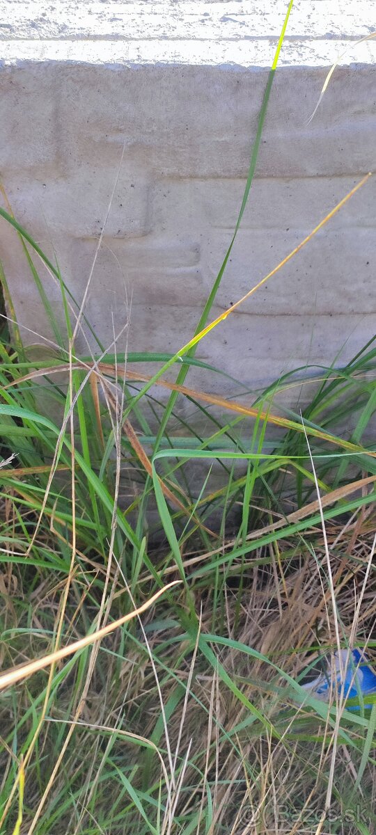 Betónove panely - 2