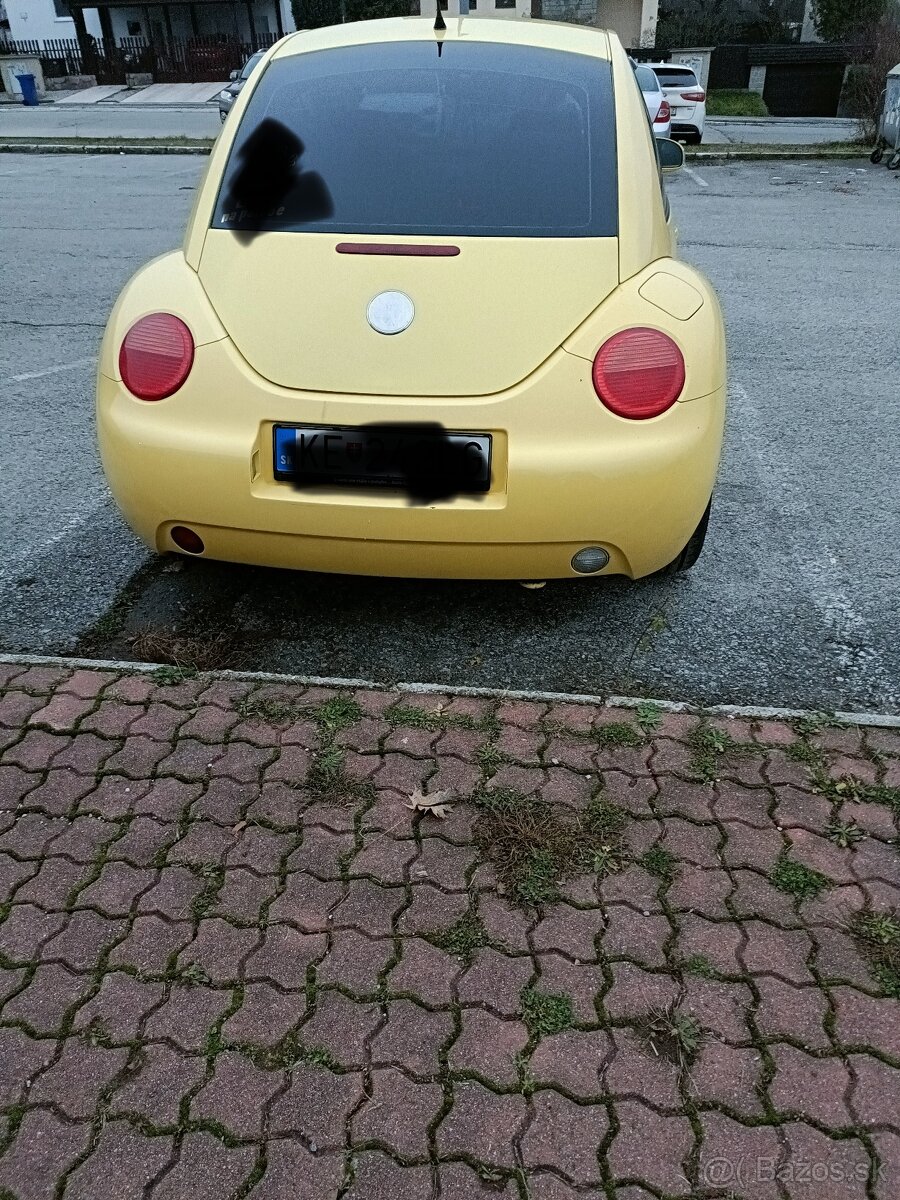 Beetle - 2