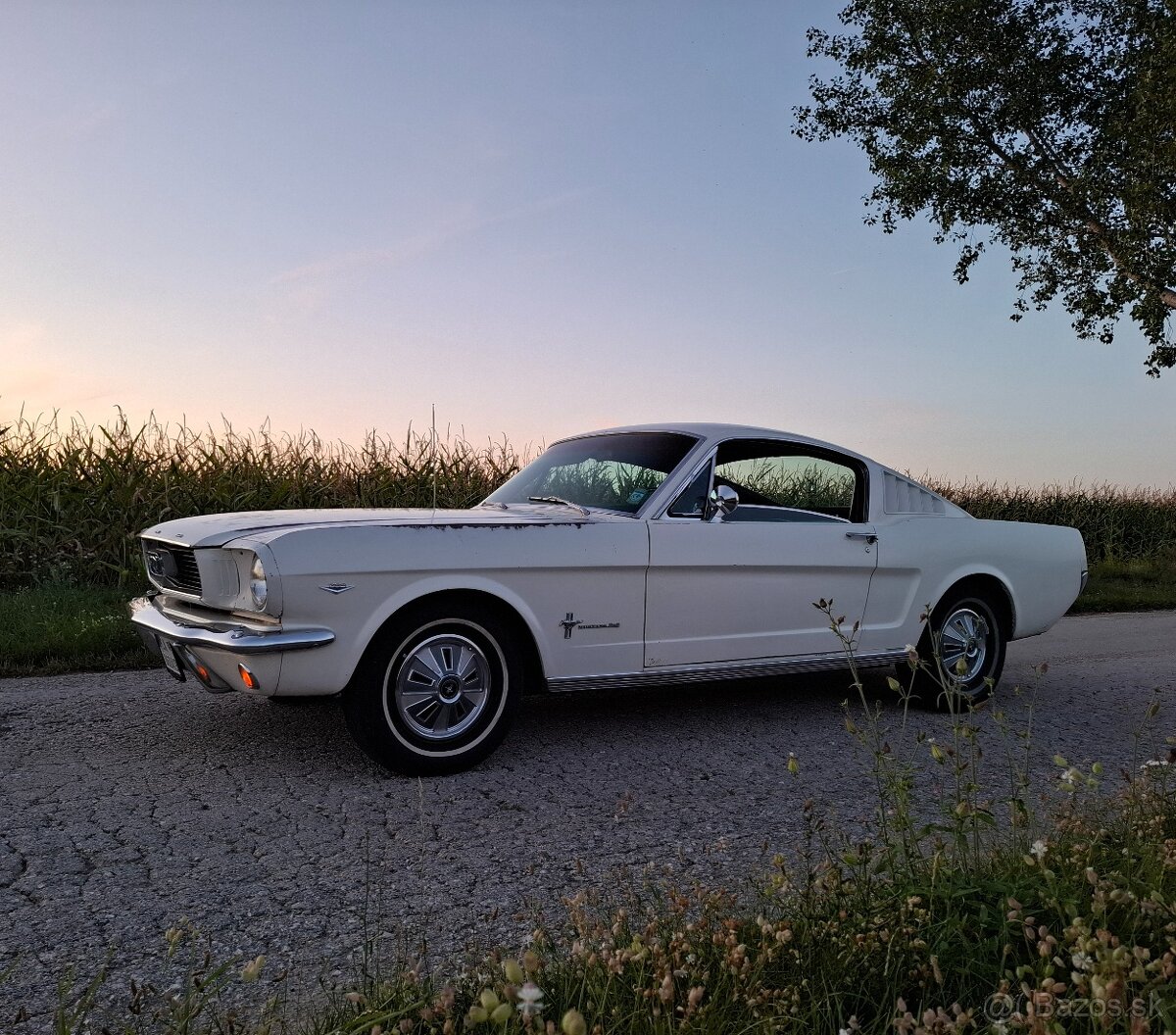 Ford Mustang Fastback - 2
