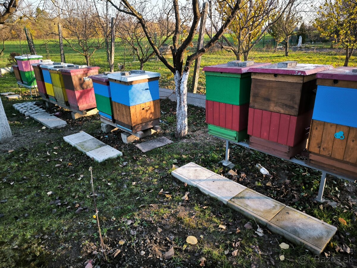 Včelstvo, včely, kompletné príslušenstvo včelára - 2