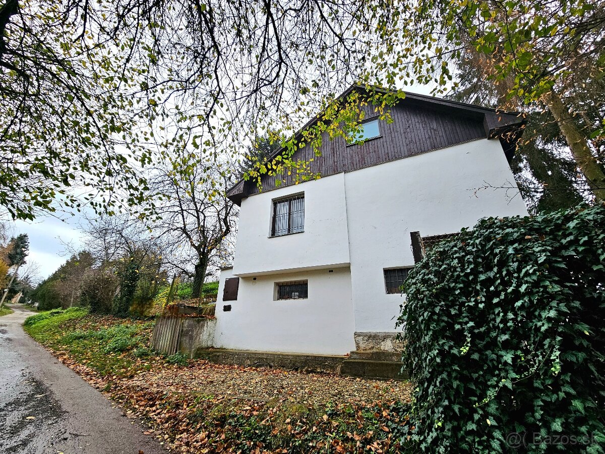 Viničný dom s vinicou Staré Predné Levice - 2