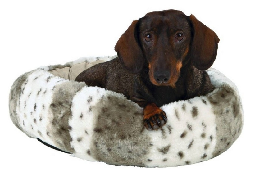 Pelech pre malé zviera - 2