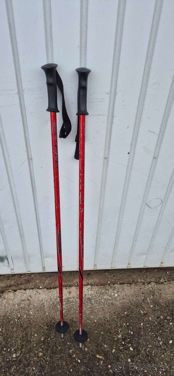 Lyže 160cm, palice - 2