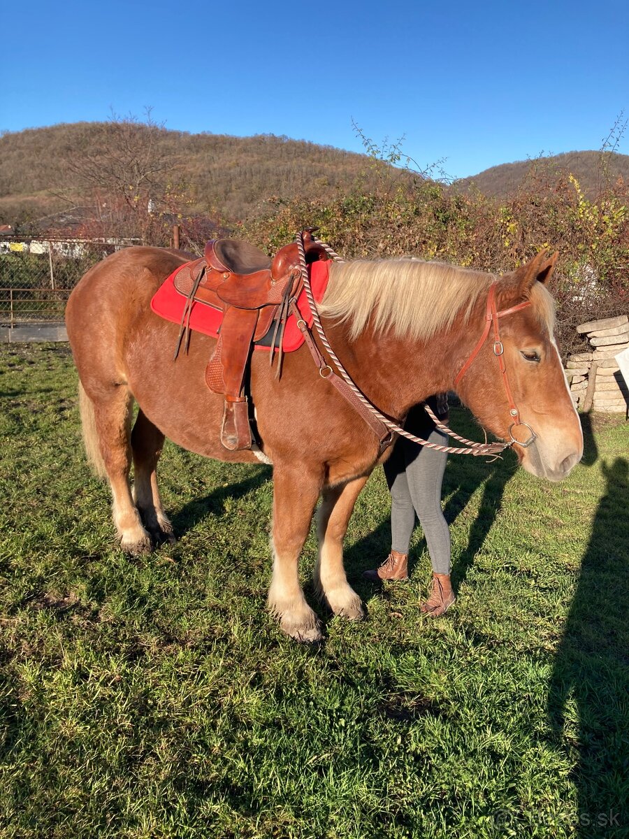 Kobyla s miliónovou povahou - 2