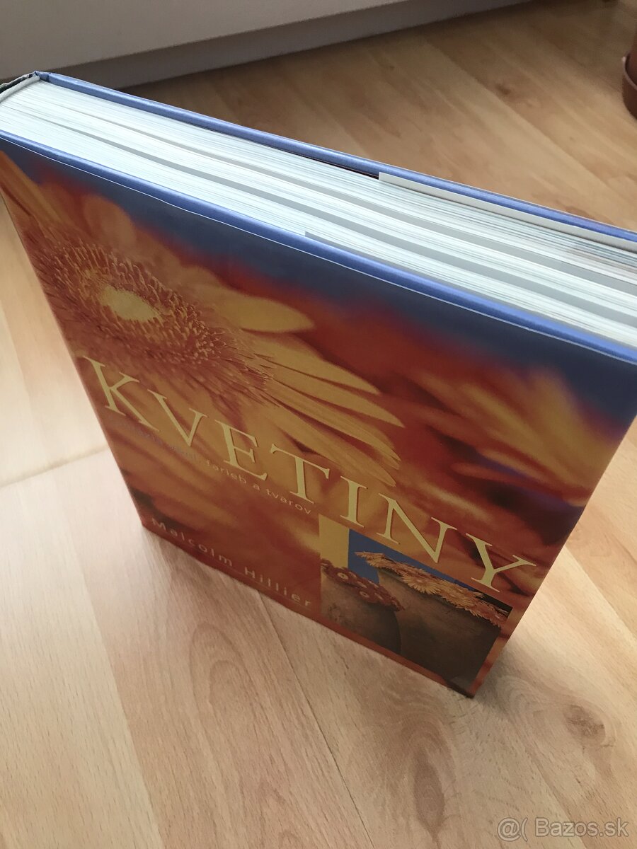 Malcolm Hillier KVETINY - 2