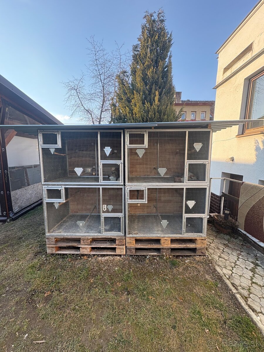 Voliera - 2