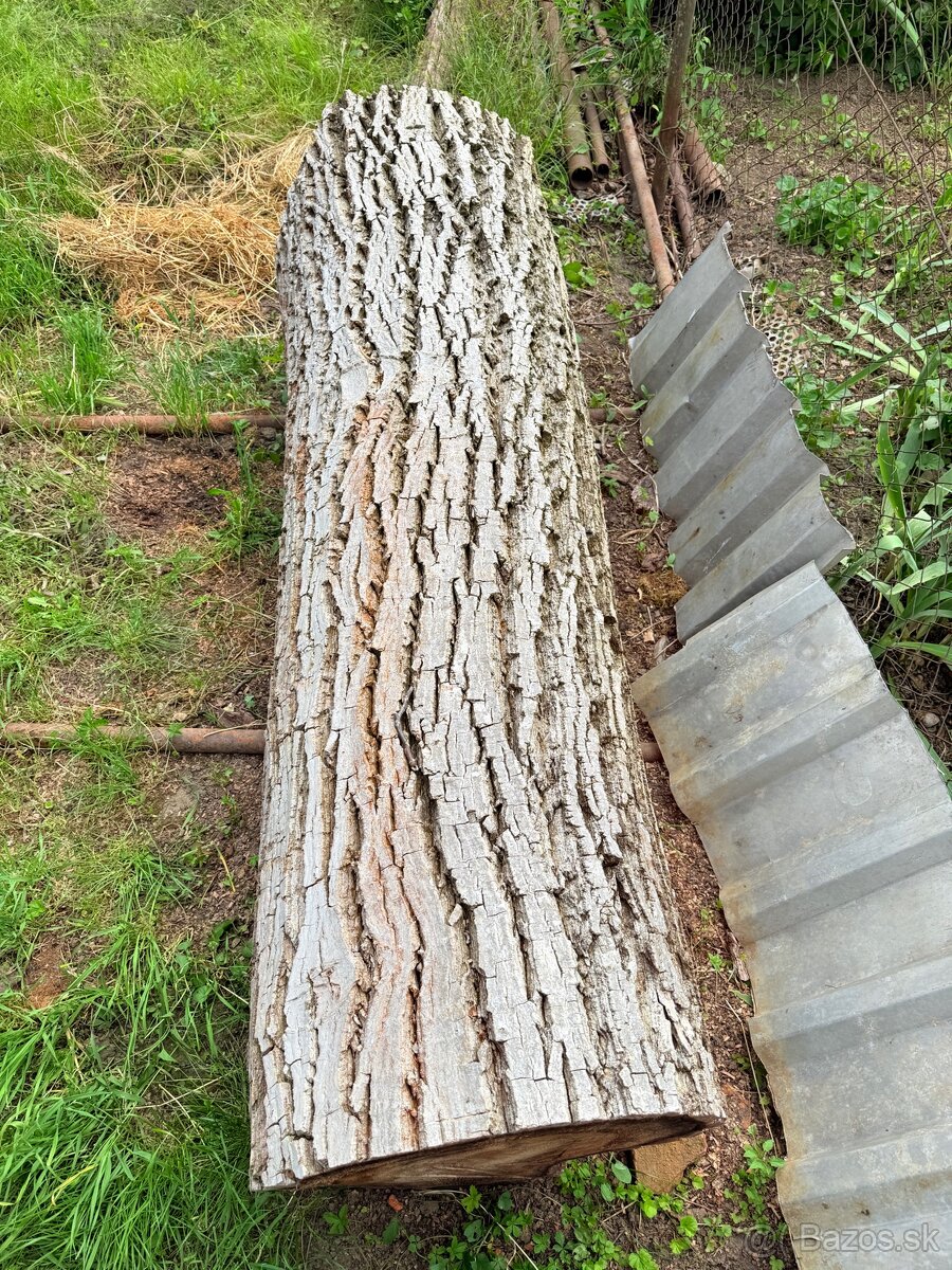 Orechove Drevo - 2