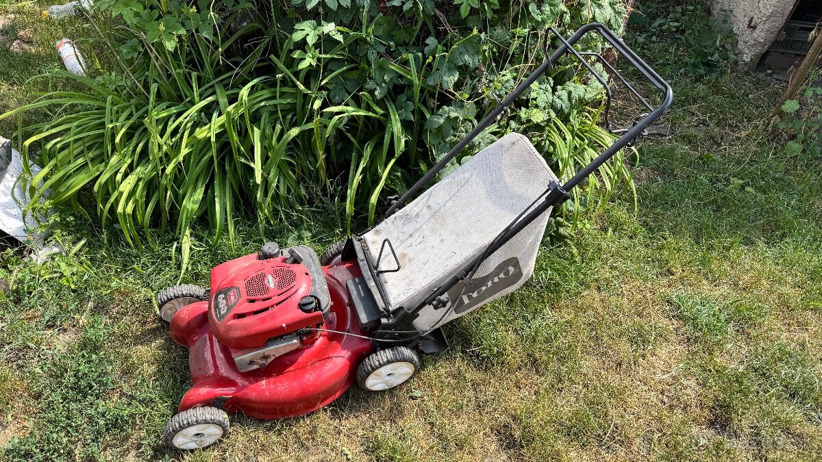 Kosacka Toro 600 - 2