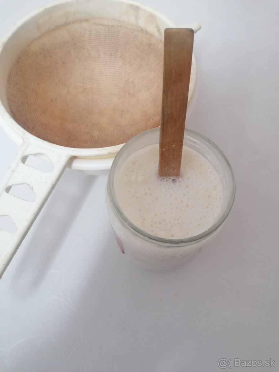 Tibetská huba-kefirové zrna - 2