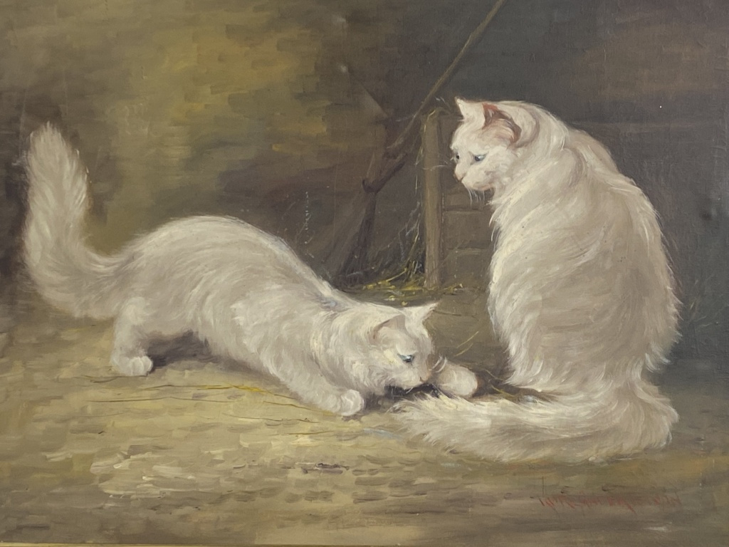 Obraz Mačky olej na plátne - 2