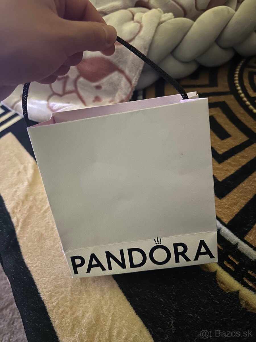 Pandora náramok a prívesok - 2