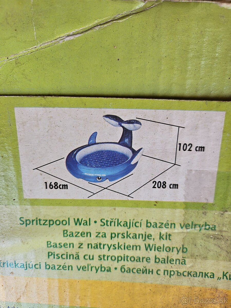 Bazén delfín - 2