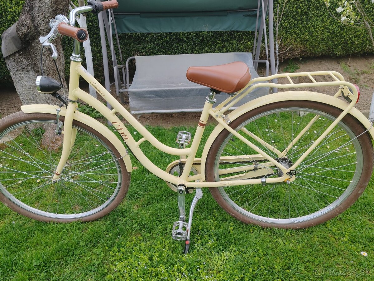 Damsky mestky bicykel - 2