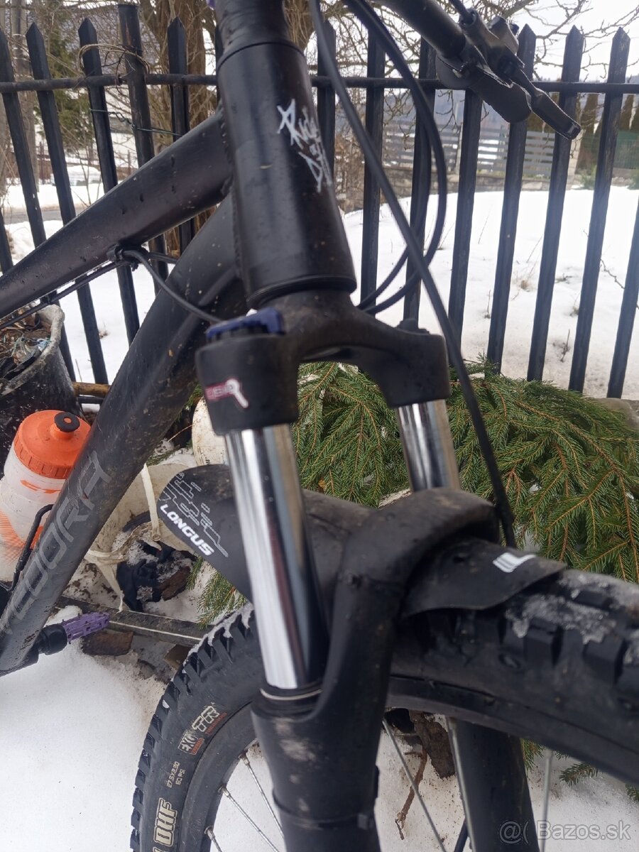 Vedora Camouflage 2019 - 2